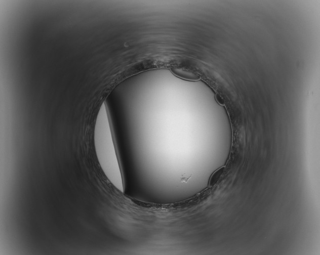 X0000089430914200706151019
