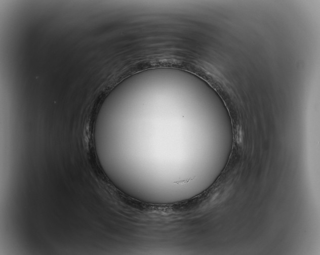 X0000089430915200706151019