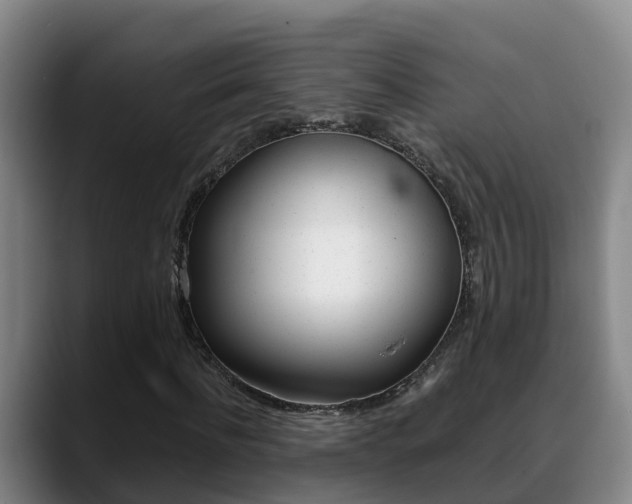 X0000089430916200706151019