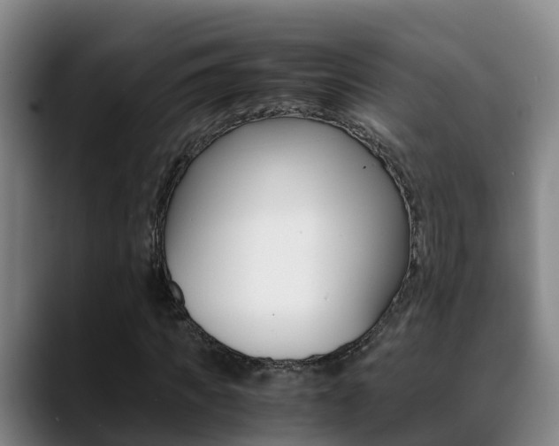 X0000089430917200706151019