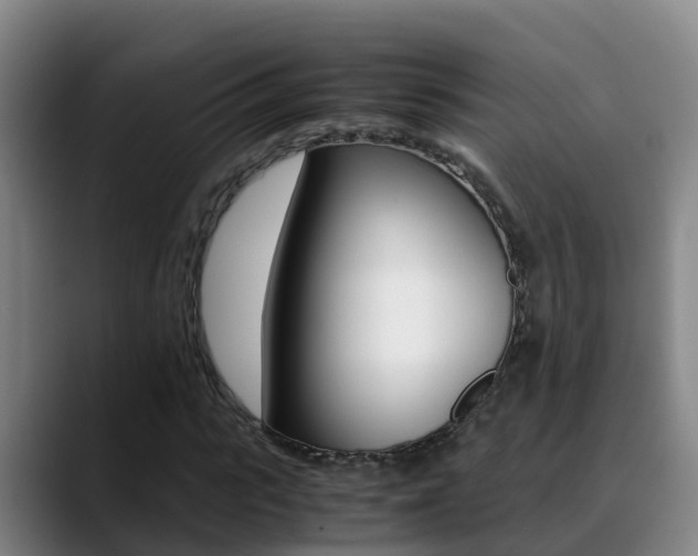 X0000089430919200706151019