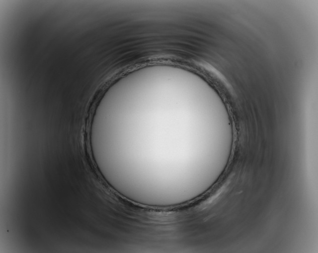 X0000089430921200706151019