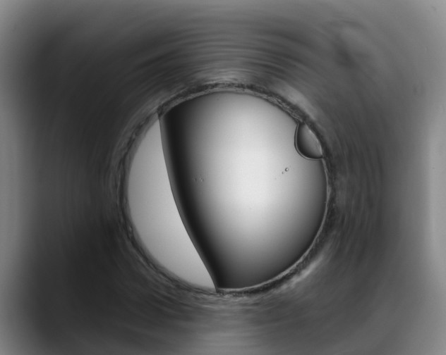 X0000089430922200706151019