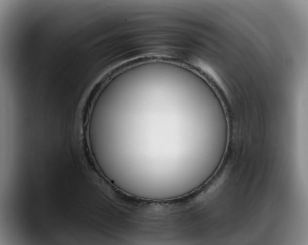 X0000089430923200706151019