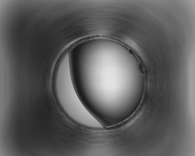 X0000089430924200706151019