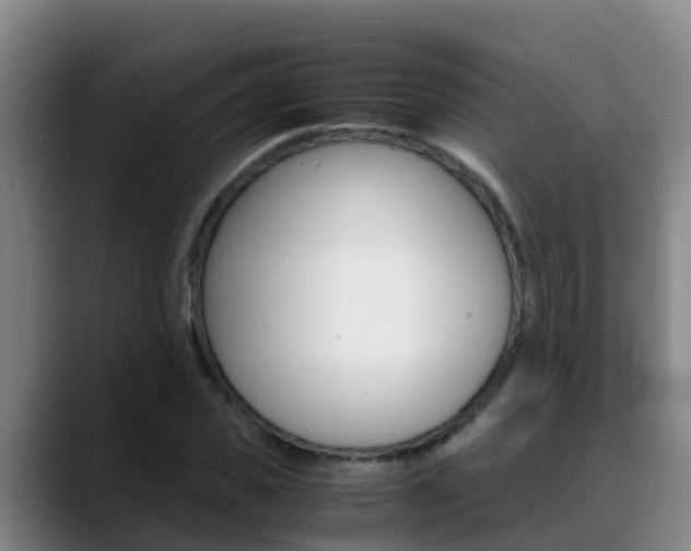 X0000089430925200706151019