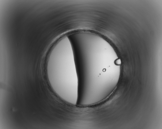 X0000089430926200706151019