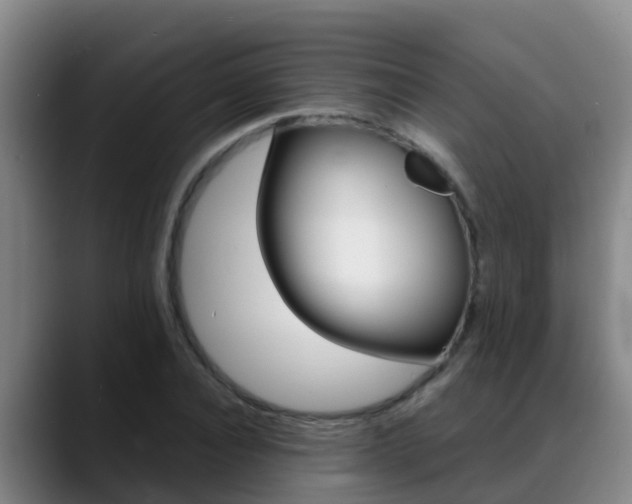 X0000089430928200706151019