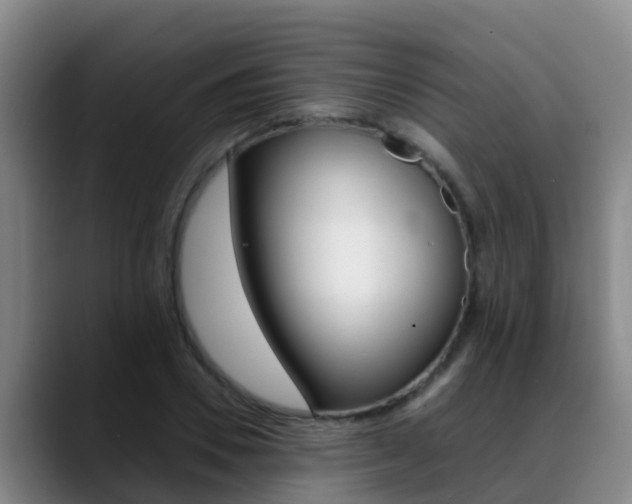X0000089430930200706151019