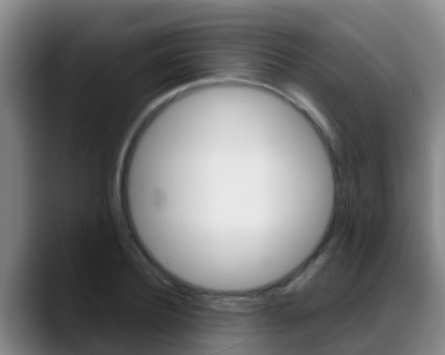 X0000089430932200706151019