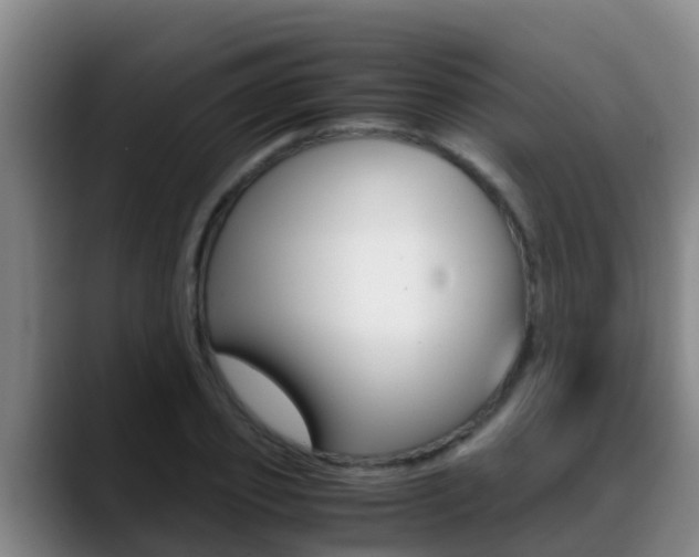 X0000089430933200706151019