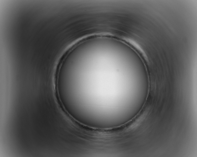 X0000089430935200706151019