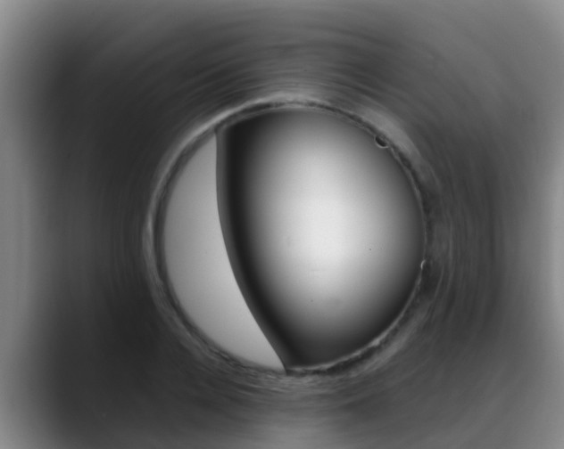 X0000089430936200706151019