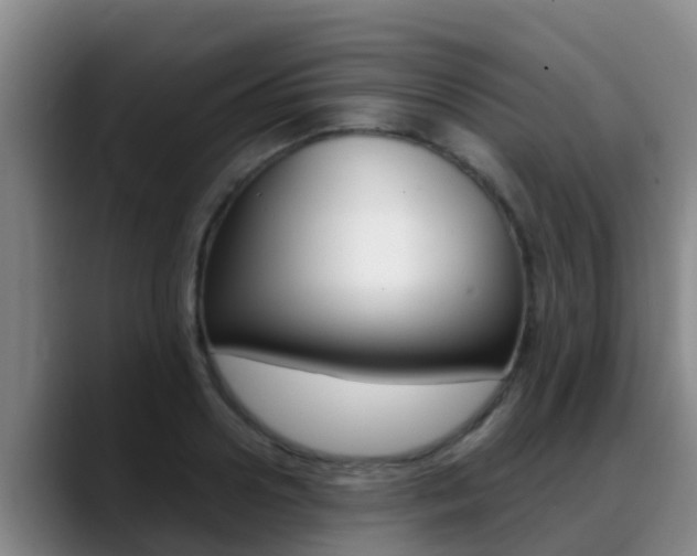 X0000089430938200706151019