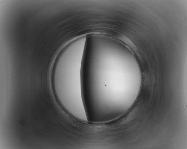 X0000089430939200706151019