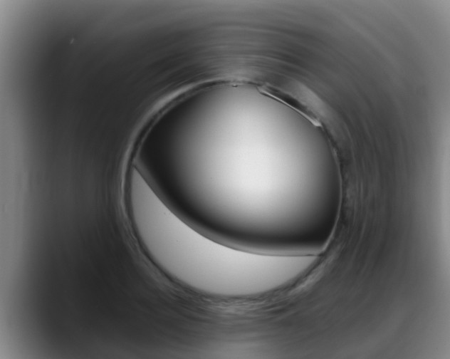 X0000089430940200706151019
