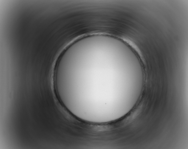 X0000089430941200706151019