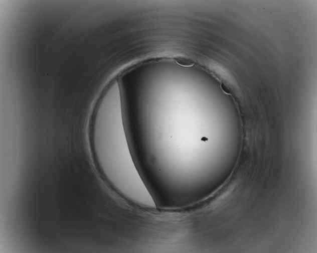 X0000089430942200706151019