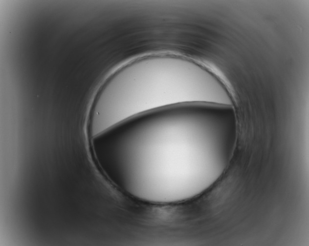 X0000089430943200706151019