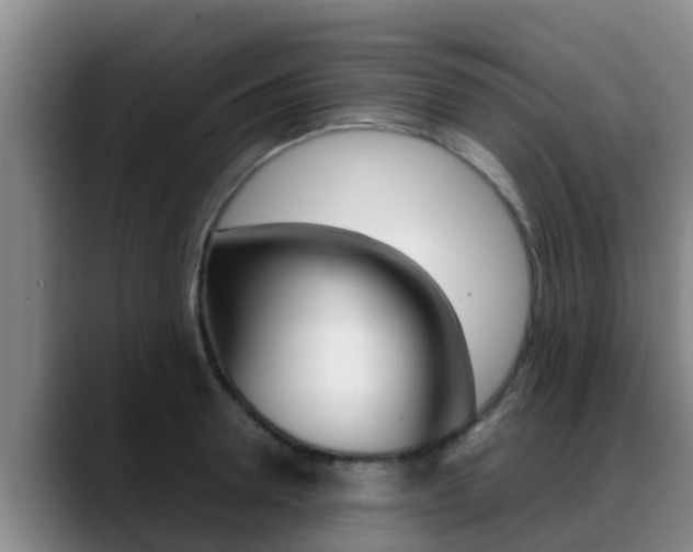 X0000089430946200706151019