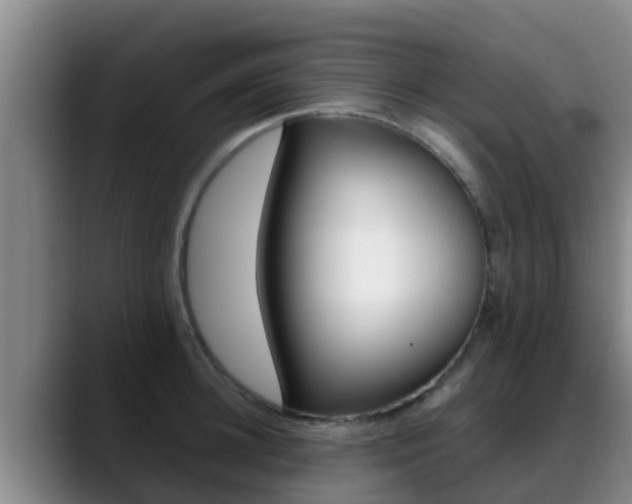 X0000089430948200706151019