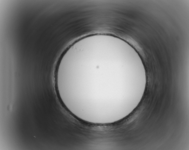 X0000089430950200706151019