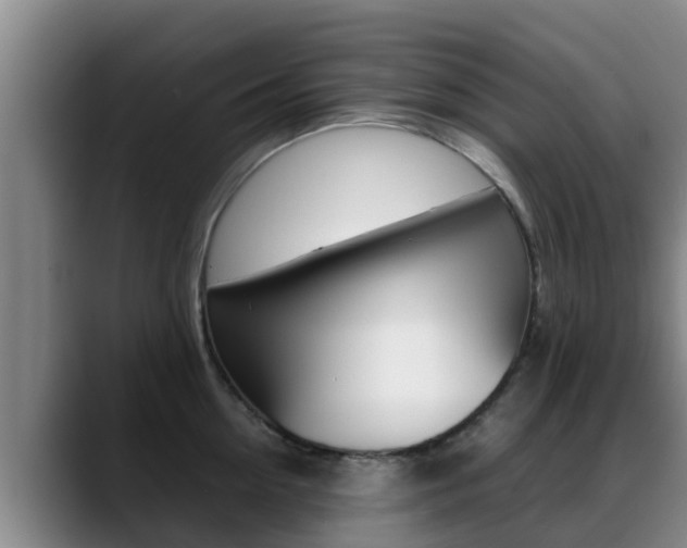 X0000089430954200706151019