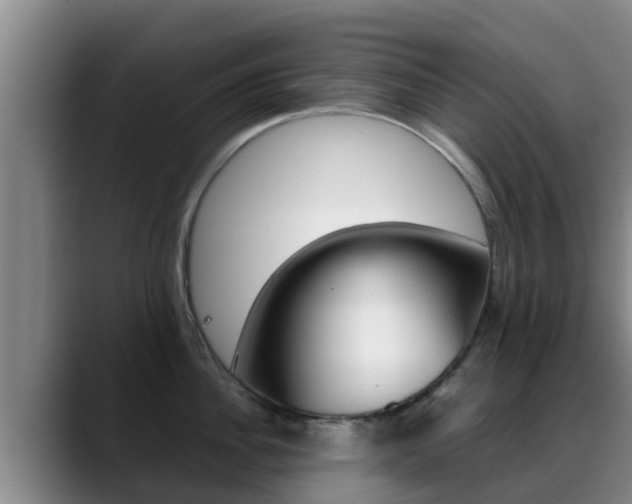 X0000089430956200706151019