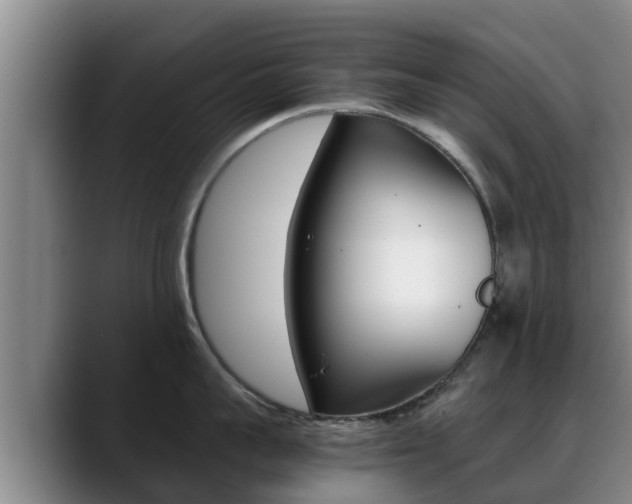 X0000089430959200706151019