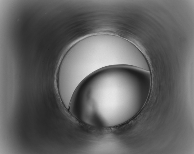 X0000089430960200706151019