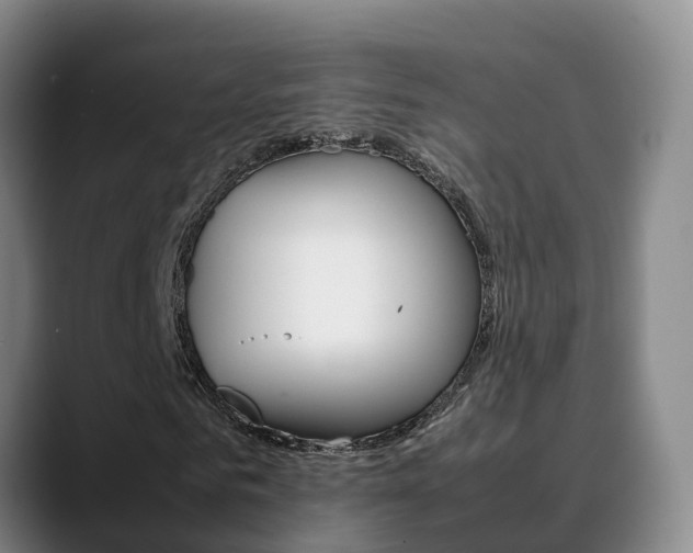X0000089430961200706151019