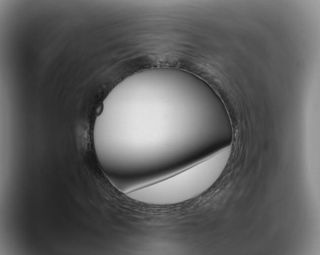 X0000089430963200706151019