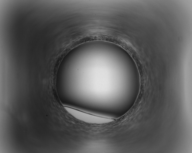 X0000089430965200706151019