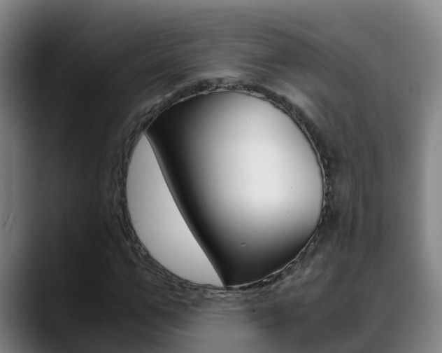 X0000089430967200706151019