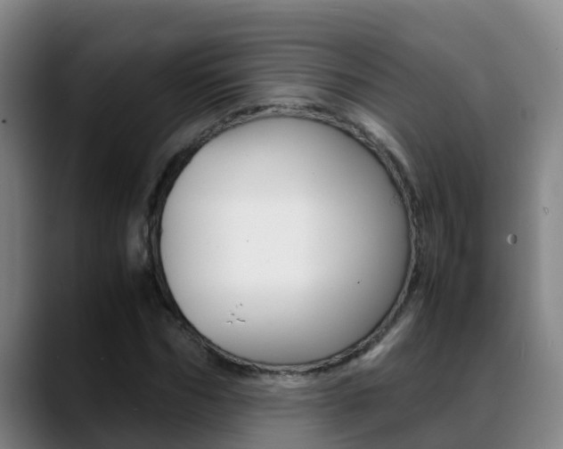 X0000089430970200706151019