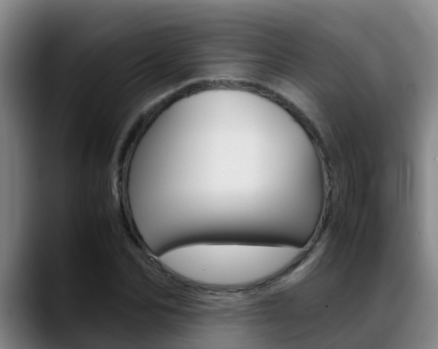 X0000089430974200706151018