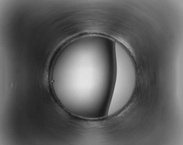 X0000089430976200706151018