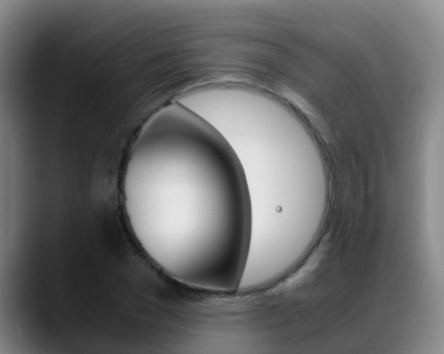 X0000089430977200706151018