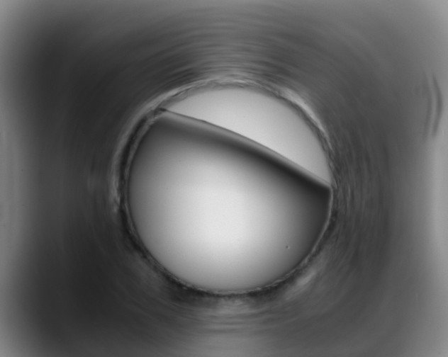 X0000089430979200706151018