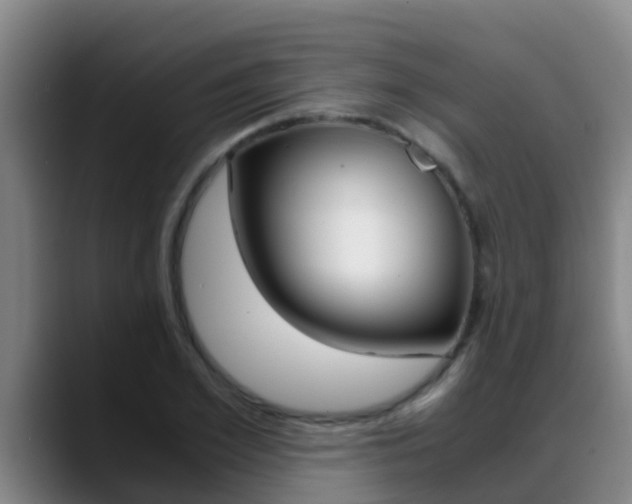 X0000089430981200706151018