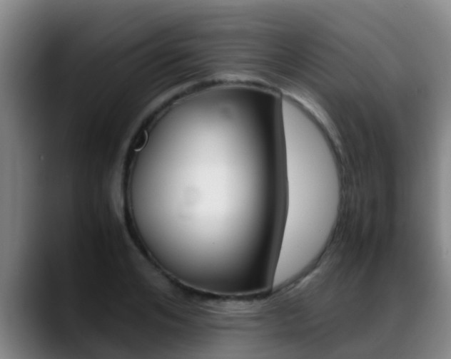 X0000089430984200706151018