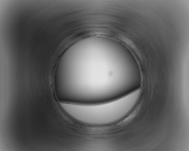 X0000089430985200706151018