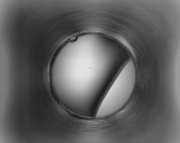 X0000089430988200706151018