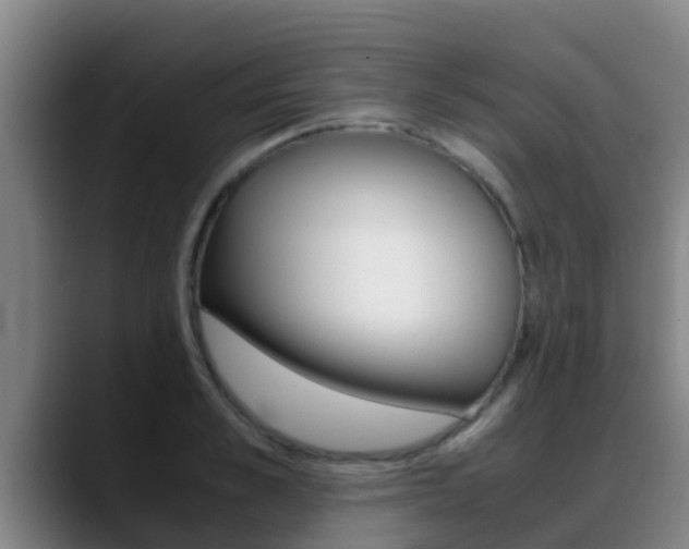 X0000089430989200706151018