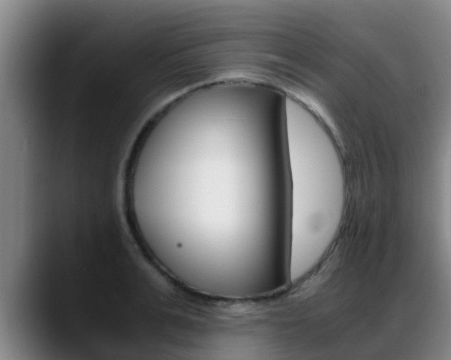 X0000089430991200706151018