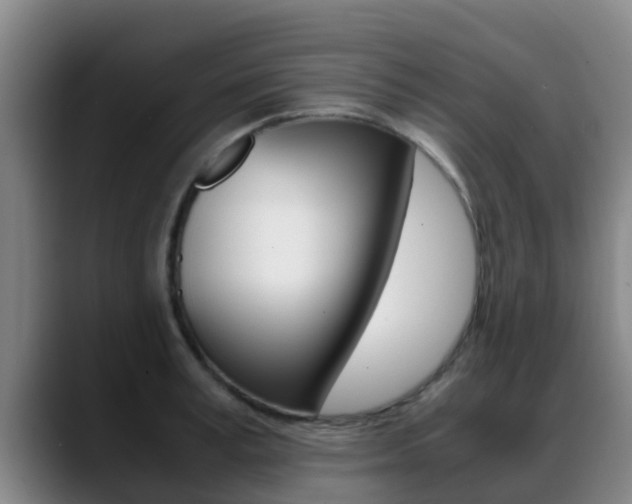 X0000089430995200706151018
