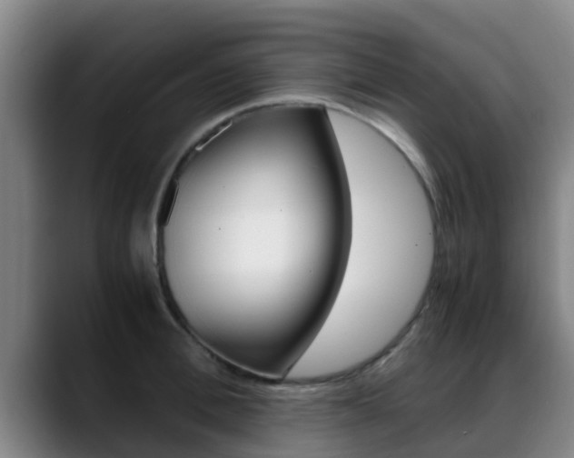 X0000089430996200706151018