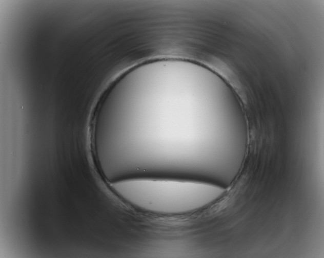 X0000089430998200706151018