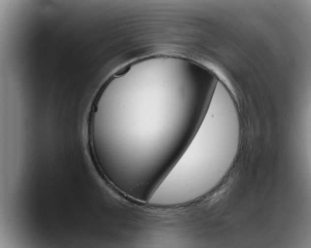 X0000089430999200706151018