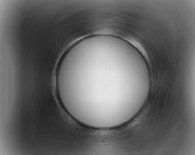 X0000089431000200706151018